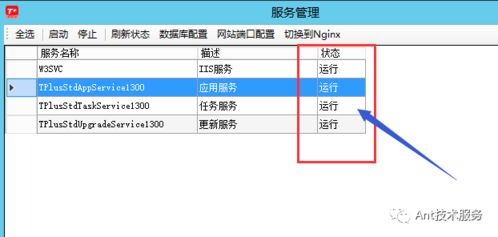ANT技術服務假期后提示“超出演示期”的解決方法與預防措施